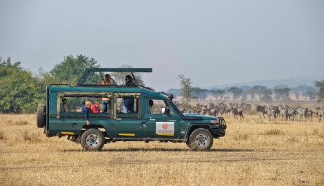 Gamedrive Nyerere Park